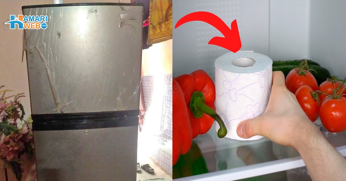 سبزیوں سے بھرے فریج میں ٹشو رول کیوں رکھنا چاہیے؟ 2 اہم فائدے جو کریں آپ کے قیمتی پیسوں کی بچت