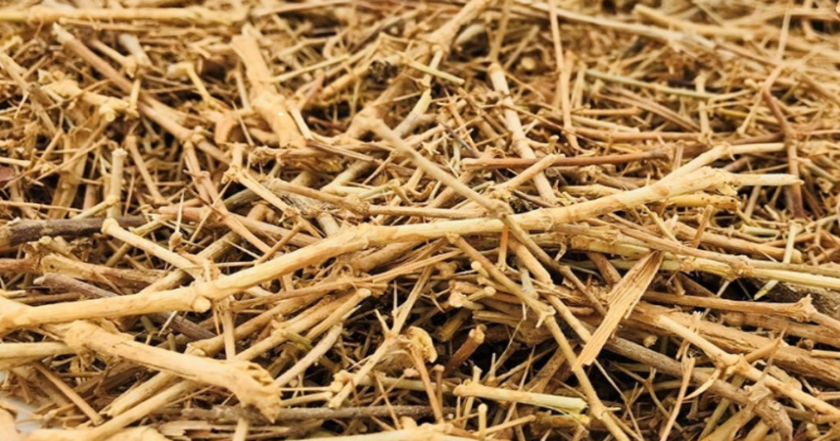 بےاولادی کا علاج ممکن، اس جڑی بوٹی کو 15 دن استعمال کریں اور فرق دیکھیں