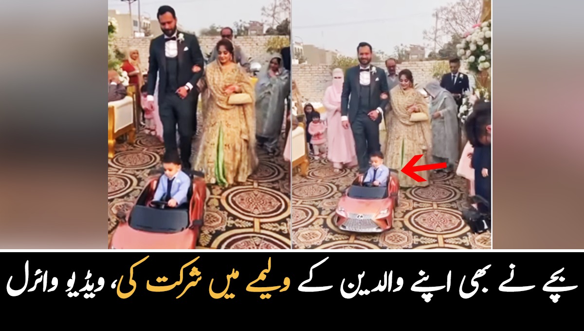 بچے نے بھی والدین کے ولیمے میں شرکت کی ۔۔ میاں بیوی کے ولیمے میں ان کے بیٹے نے کس طرح شرکت کی؟ دلچسپ ویڈیو