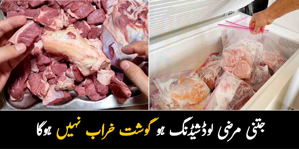 کہیں گوشت خراب نہ ہو جائے ۔۔ قربانی کا گوشت فریزر میں رکھ تو لیا، لیکن بجلی نہ ہونے کی وجہ سے گوشت سڑ نہ جائے، اس کو محفوظ کرنے کا آسان طریقہ جانیے