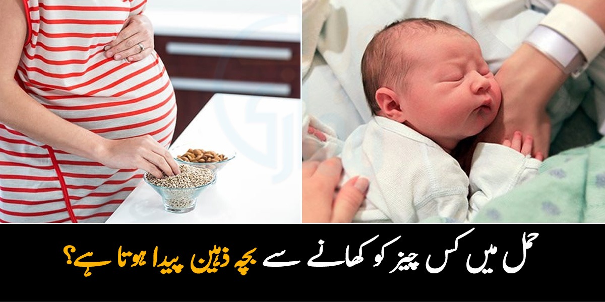 دورانِ حمل کون سی چیزیں کھانے سے بچہ ذہین پیدا ہوتا ہے؟ جانیئے 6 ایسی غذائیں جو آپ کے بچے کی ذہنی نشونما میں مدد کرتی ہیں
