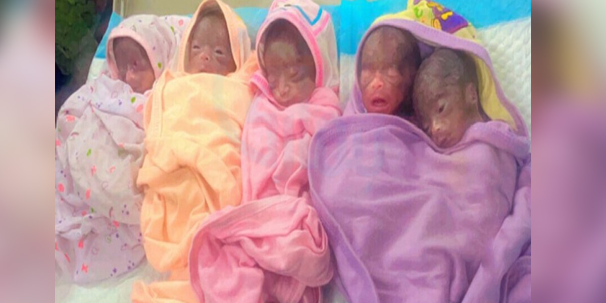 ماں کی بھری گود خالی ہوگئی ۔۔ ایک ساتھ پیدا ہونے والے تمام 6 بچوں کا انتقال ہوگیا، وجہ کیا نکلی؟