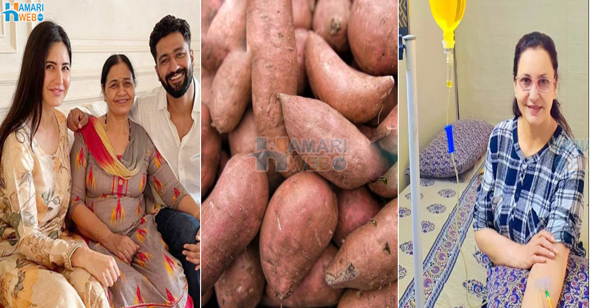 سستی سبزی سے لاکھوں کا فائدہ! کترینہ کیف کی ساس نے ان کو شکر قندی کیوں کھلانا شروع کر دی؟ جانیں یہ وزن کم کرتی ہے یا جسم کو پھولا دیتی ہے