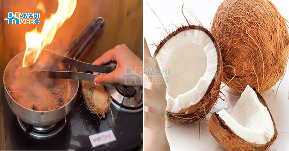 ناریل کے چھلکوں کو یوں جلا کر رکھنے سے کیا ہوتا ہے؟ جانیں ناریل کے بیکار چھلکوں کے استعمال کا وہ طریقہ جو ہر کسی کے کام آئے