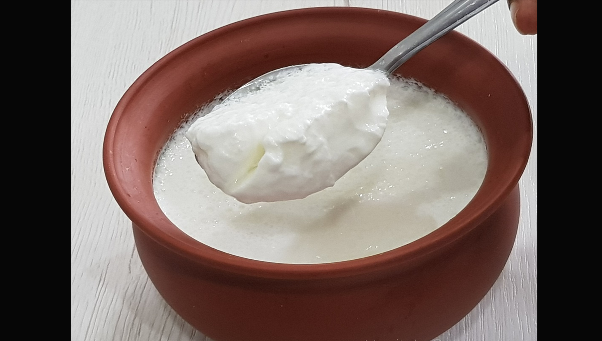 گھر میں دہی جمانے کا یہ آسان طریقہ جانتی ہیں؟ جس سے دہی کا ذائقہ بازار کی دہی سے بھی زیادہ مزیدار ہو