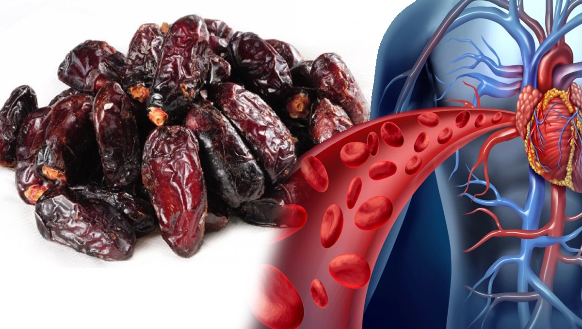 کھجور میں یہ چیز ملا کر کھائیں اور خون کی کمی کو پورا کریں، جسم میں تیزی سے خون بنانے میں مدد دینے والا یہ گھریلو ٹوٹکا ابھی استعمال کریں