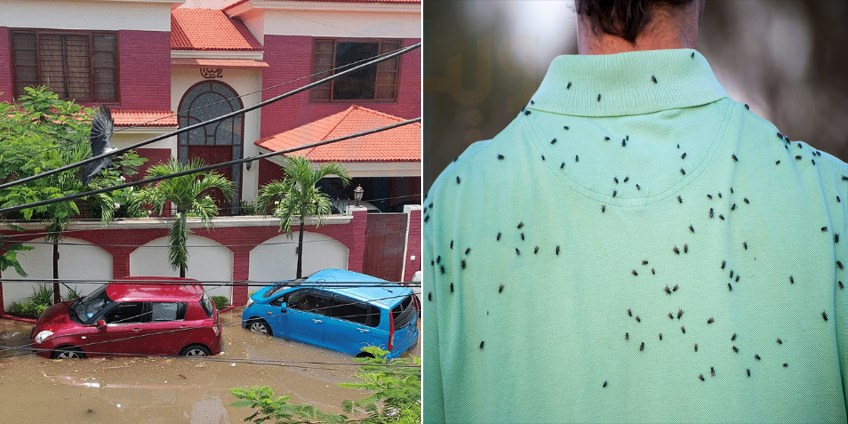 مکھیوں کی بھرمار یا پھر گیلے جوتوں کی نمی یا بدبو، برسات کے بعد کچھ ایسے تحفے جن سے بچنا اب صرف ان آسان طریقوں سے ممکن