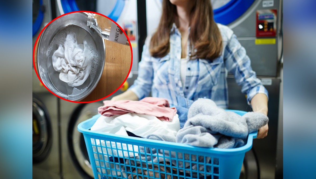 کپڑوں کو دھونے سے پہلے مہینے میں ایک دفعہ ان کو سرکے میں کیوں ڈبونا چاہیئے؟ جان لیں تاکہ آپ بھی اس سے فائدہ اٹھا سکیں!