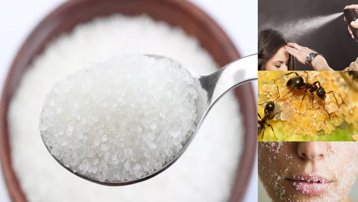 کچن میں موجود چینی سے آپ اپنے ان مسائل کو کیسے حل کرسکتے ہیں؟ جانیں مددگار ٹپس