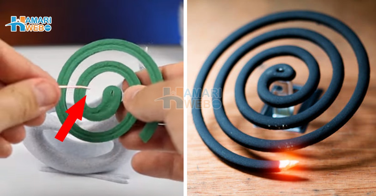 گلوب کو جلانے سے پہلے اس جگہ ماچس کی تیلی لگانے سے کیا ہوتا ہے؟ ہر گھر میں ضرورت کی وہ ٹپس جو آزما کر آپ بھی بڑے مسئلے سے بچ سکتے ہیں