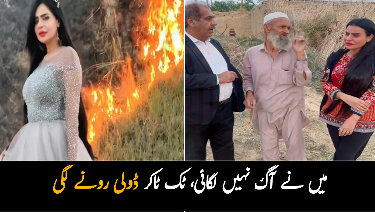 میں نے آگ نہیں لگائی، میرے پاس ثبوت موجود ہیں ۔۔ ٹک ٹاکر ڈولی بُزرگ شخص کی گواہی سُن کر زاروقطار رو پڑی