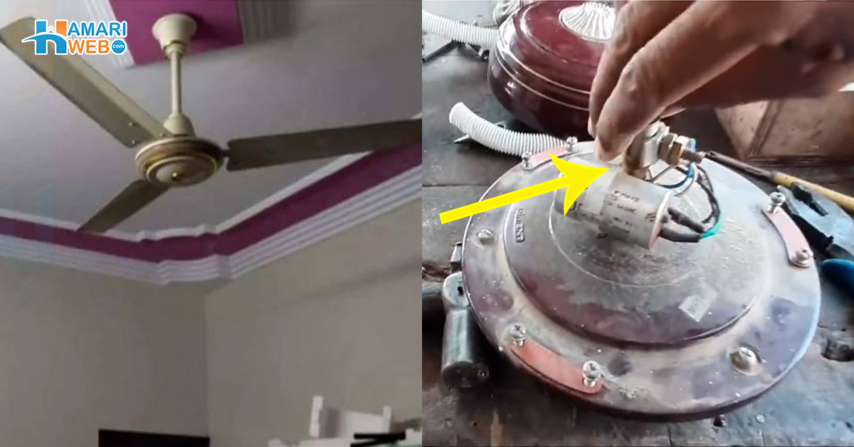 پنکھا چلتے ہوئے بہت آواز کرتا ہے کیا کریں؟ جانیں صرف 5 منٹ میں پنکھے کی آواز کو ختم کرنے کا آسان طریقہ