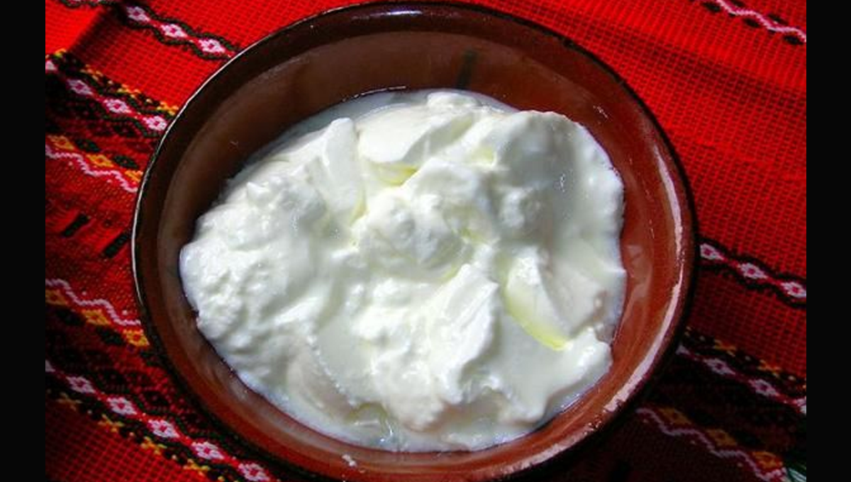 دہی کھٹی ہوجائے تو پھینکیں مت اور بنائیں اسے دوبارہ استعمال کے قابل صرف بتائے گئے اس طریقے سے