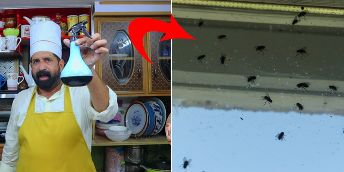 550 روپے کا سپرے اب خود گھر میں بنائیں ۔۔ مکھیوں کو بھگانے کا ایسا سپرے بتا دیا جس سے مکھی ہو یا چیونٹی سب کیڑے گھر سے بھاگ جائیں گیں