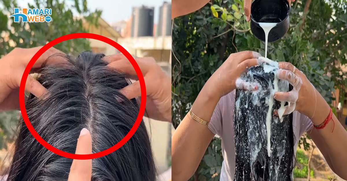 بالوں میں چھاچھ ڈالنے سے کیا ہوگا؟ کیمیکل والی چیزیں خریدنے کے بجائے گھر میں بنائیں ایسا ہیئر ماسک، جو بالوں کے کئی مسئلے حل کرئے