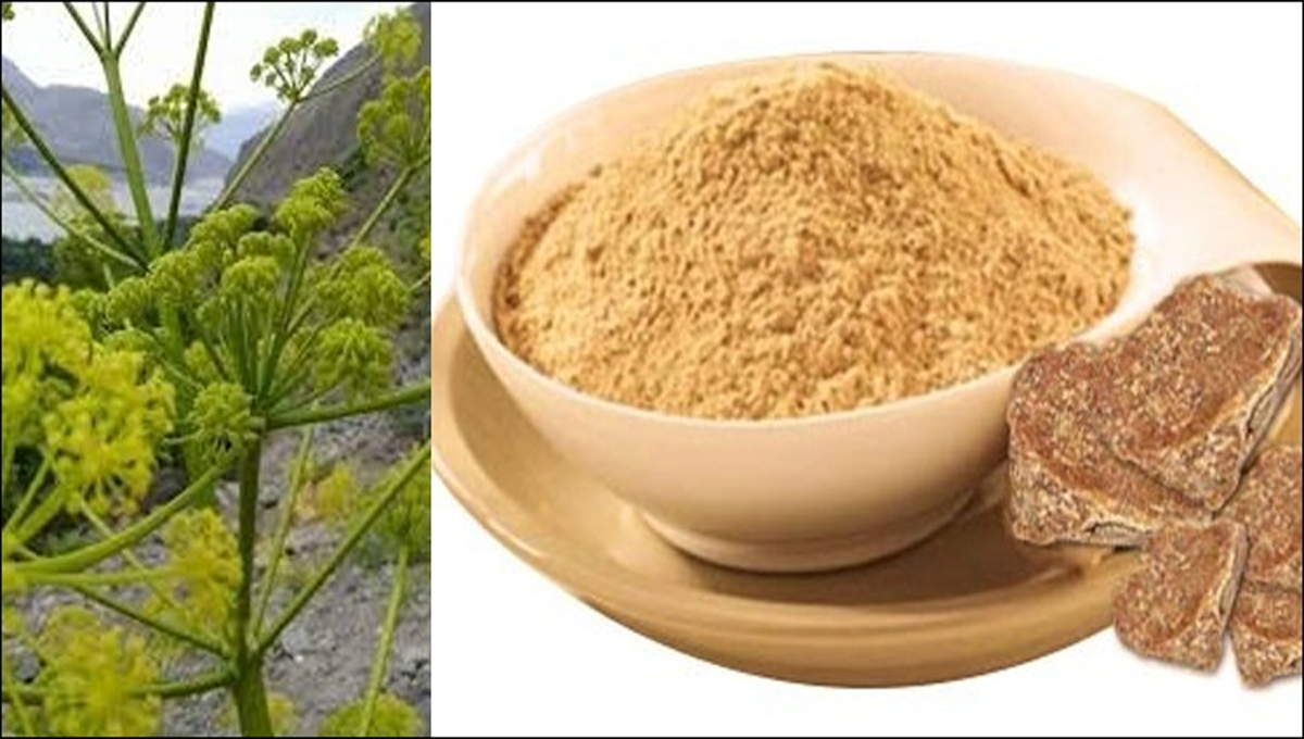 ہینگ کے جادوئی فوائد کسی دوائی سے کم نہیں اس سے آپ کے جسم میں کیا تبدیلی آتی ہے جان کر آپ بھی استعمال کرے بغیر رہ نہ سکیں گے