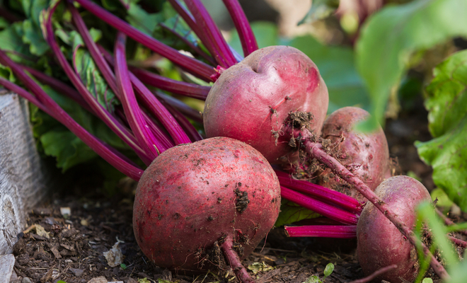 اس سبزی کا استعمال آپ کے جسم میں کیا تبدیلی لا سکتا ہے؟ جاننے کے بعد آپ بھی اس کا استعمال آج ہی شروع کردیں گے