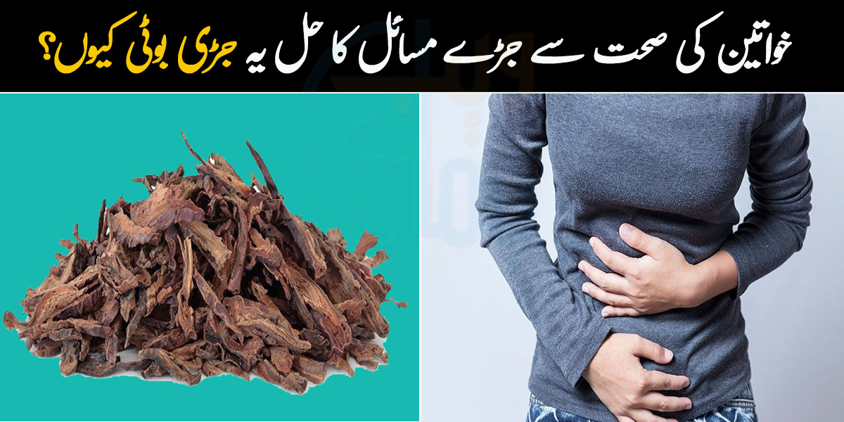 خواتین کی صحت سے جڑے مسائل کا حل یہ جڑی بوٹی کیوں؟ جانیے اشوکا کے کچھ ایسے فائدے جو ہر عورت جاننا چاہے