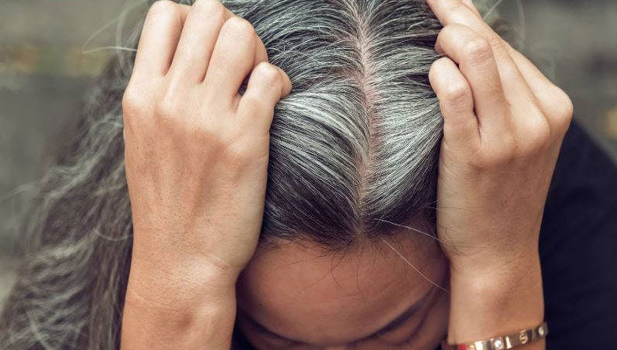 پتی سے سفید بال کالے کرنے کا یہ مددگار طریقہ جانتے ہیں؟ جانیں اور استعمال کر کے اپنے سفید بالوں کو دوبارہ کالا کریں