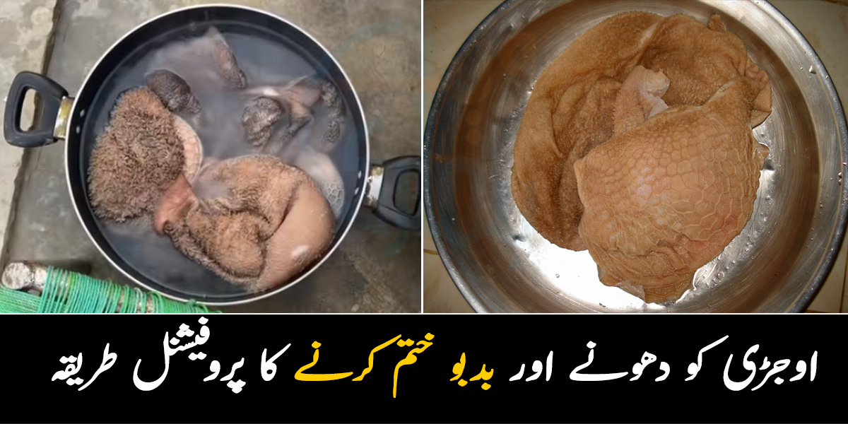 اوجڑی کو کھانا تو سب کو پسند ہے مگر اوجڑی کو صاف کرنا مشکل ، جانیں پروفیشنل شیف کا آزمودہ آسان ترین طریقہ جو خواتین کے ہمیشہ کام آئے