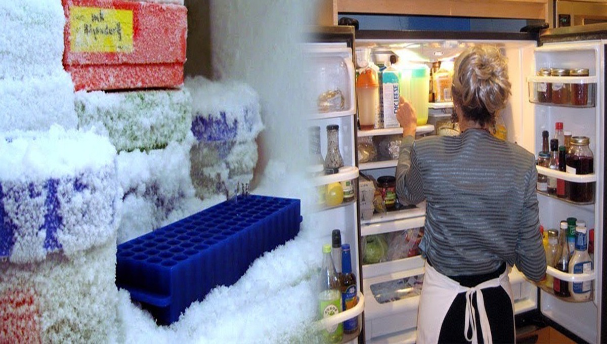 فریج میں سخت جمی ہوئی برف کو پگھلانے کا زبردست طریقہ جانیں اور کریں اس سے آنے والی بو کا خاتمہ