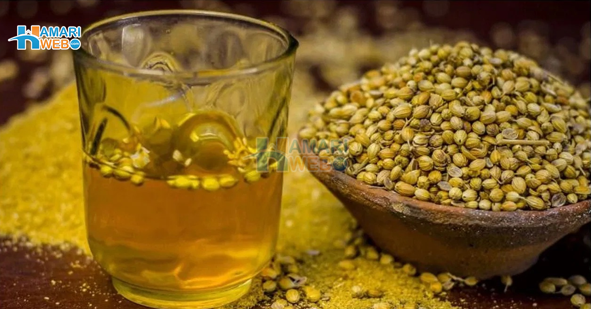 ثابت دھنیے کو گرم پانی میں رات بھر بھگو کر کھانے سے کیا ہوتا ہے؟ ثابت دھنیے کے استعمال کا ایسا طریقہ جو آپ کے بھی ہزاروں روپے بچا سکتا ہے