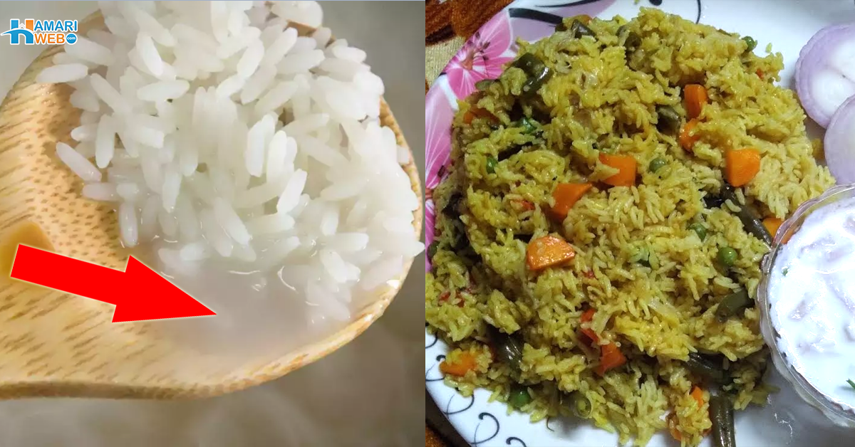 بریانی کے چاول گیلے رہ گئے تو۔۔ جانیں سادے اور پلاؤ بریانی کے چاولوں سے جھٹ پٹ ساری نمی ختم کرنے کے سستے اور آسان طریقے