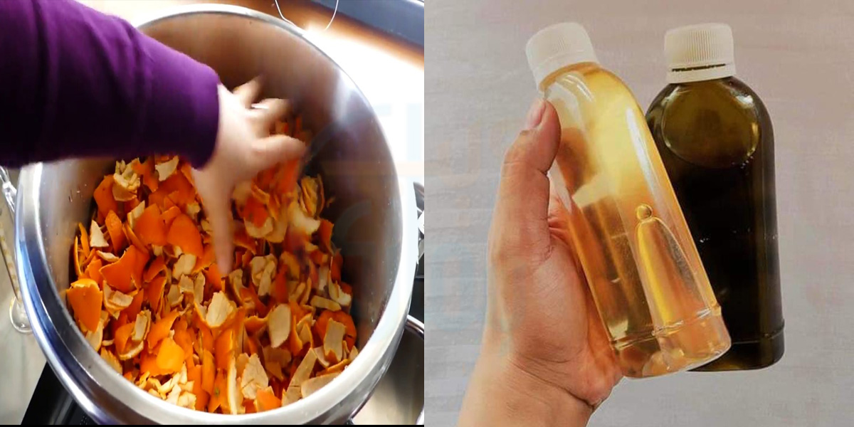 اورنج آئل سے کریں اپنی جلد نرم ملائم اور چمکدار۔۔ گھر میں اورنج آئل بنانا کتنا آسان ہے جانیئے شیف کا بتایا ہوا طریقہ