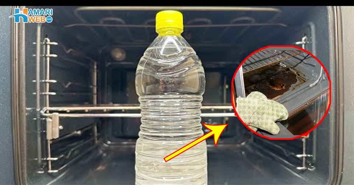 اوون اتنا گندا ہوجاتا ہے کہ صاف نہیں ہوتا۔۔ اب مائیکرو اوون کے ہر استعمال کے بعد یہ ایک کام کریں، دوبارہ کبھی صفائی میں وقت نہیں لگے گا
