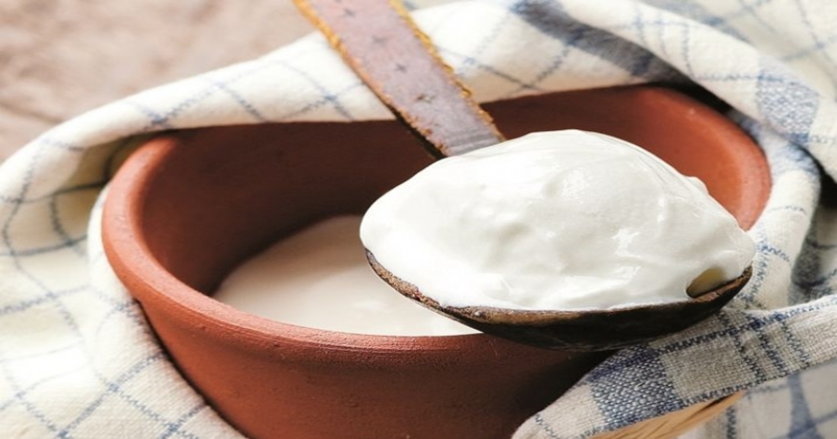 صرف چند گھنٹوں میں اس آسان نسخے سے گھر میں ہی بہترین اور ذائقہ دار دہی جمائیں