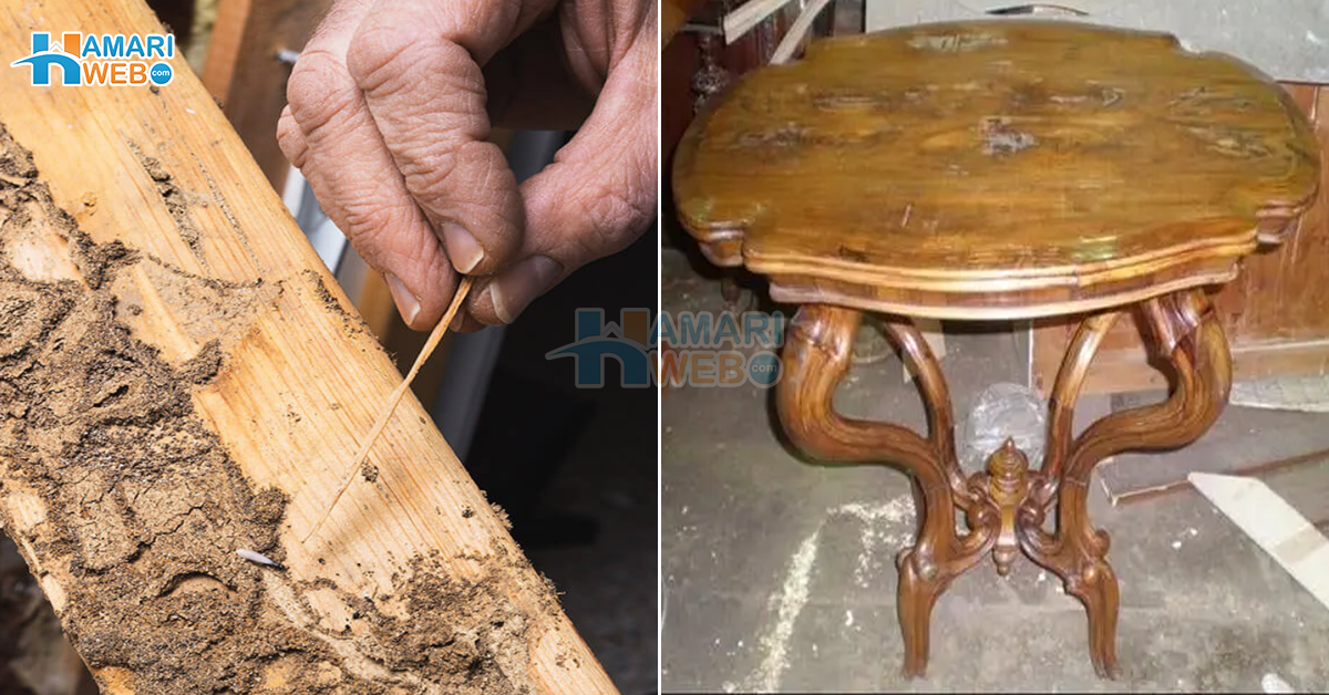 کبھی رنگ خراب ہوجاتا ہے تو کبھی دیمک کھا جاتی ہے ۔۔ لکڑی کے فرنیچر کو اسطرح کے مسئلوں سے بچانے کے وہ طریقے، جو آپ کی بڑی مشکل ہو آسان کردے