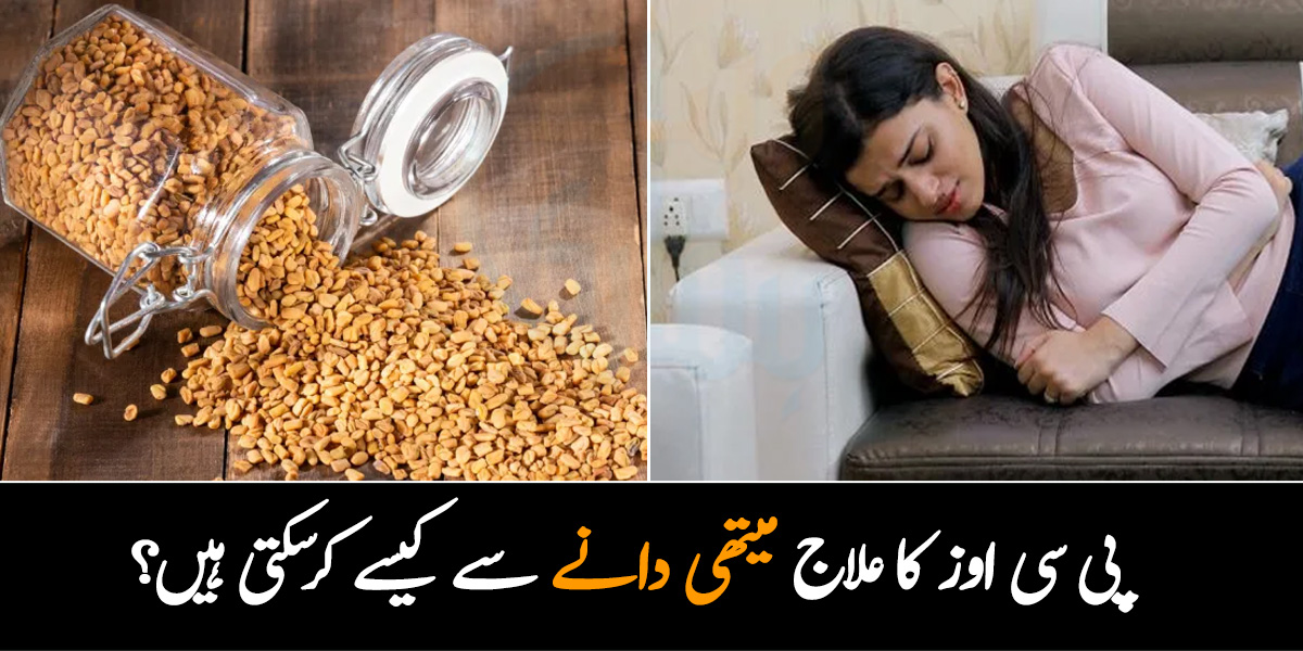 پی سی اوز اور خواتین کے اس جیسے کئی اور مسائل کنٹرول ۔۔ میتھی دانہ ایک ایسی جڑی بوٹی جو چینی لوگ ہزاروں سال سے استعمال کرتے آرہے ہیں۔۔۔ جانیں اسکے بے شمار فوائد