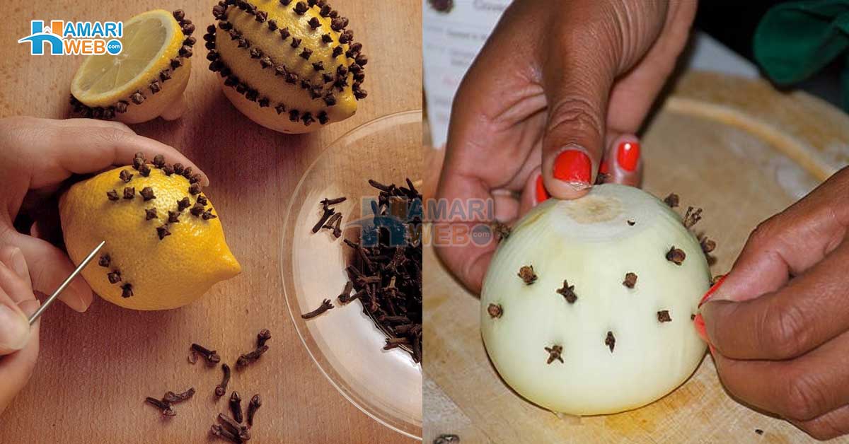 لیموں اور پیاز میں لونگ کیوں لگائی جاتی ہے؟ جانیں ایک ایسی زبردست ٹپ، جو خواتین کو ایک ساتھ تین فائدے دے