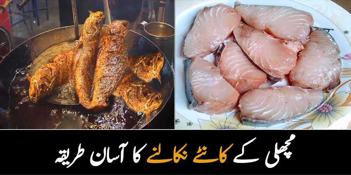 مچھلی شوق سے کھاتے ہیں لیکن کانٹوں سے ڈرتے ہیں  تو جانیئے مچھلی کے کانٹے نکالنے کا آسان طریقہ