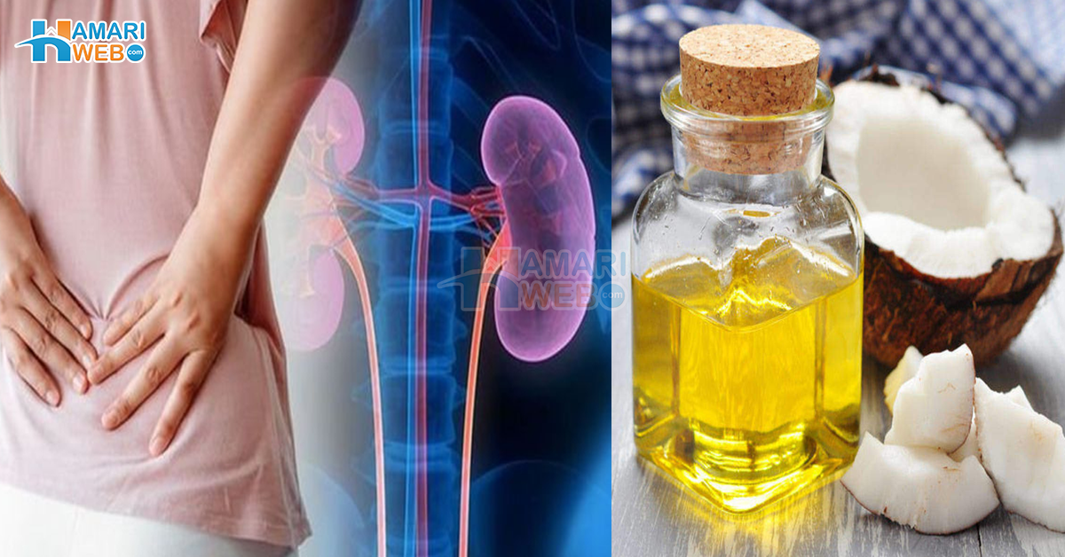 منہ کی بیماری ہو یا گردے کا انفیکشن ۔۔ جانیں ناریل کا تیل کس طرح اور کون سے صحت کے مسائل حل کرنے میں آپ کے کام آسکتا ہے؟