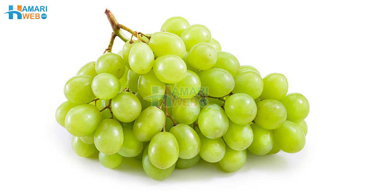 کھٹے میٹھے انگور کھانے کی عادت ڈال لیں کیونکہ ۔۔ انگور کھانے کا کونسا نیا فائدہ سامنے آگیا؟ جان کر پر آج ہی گھر لے آئیں گے