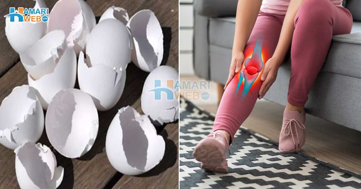 انڈے کھا کر اسکے چھلکے پھینکیں نہیں بلکہ ۔۔ جانیں انڈے کے چھلکے جوڑوں کے درد میں آپ کی کس طرح مدد کرسکتے ہیں؟