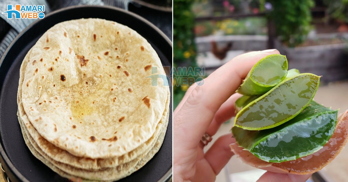 روٹی میں ایلوویرا جیل ڈال کر کھانے سے کیا ہوتا ہے؟ روٹی کے استعمال کا ایسا طریقہ جو آپ نے آج سے پہلے شاید ہی سُنا ہو، آزما کر دیکھیں