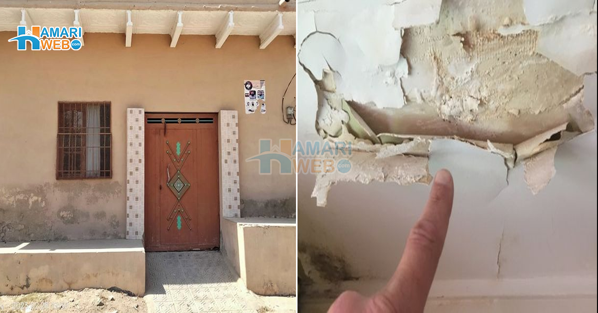 گھر کی دیواروں پر سیم آ گئی ہے تو اس کو کیسے ٹھیک کرنا چاہیے؟ جانیے سیلن کو ختم کرنے کا وہ طریقہ جو سب سے سستا اور پائیدار ہے