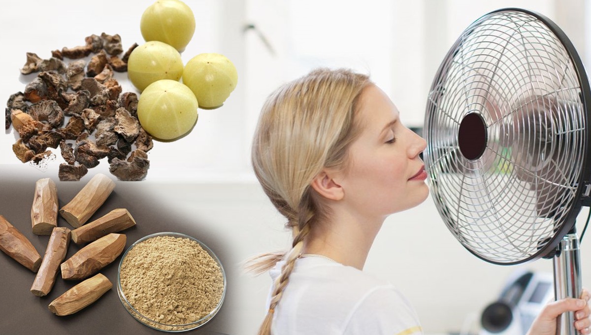 گرمی کی شدت کم کرنے کیلئے 5 مفید جڑی بوٹیاں ابھی استعمال کریں اور پائیں گرمی سے نجات