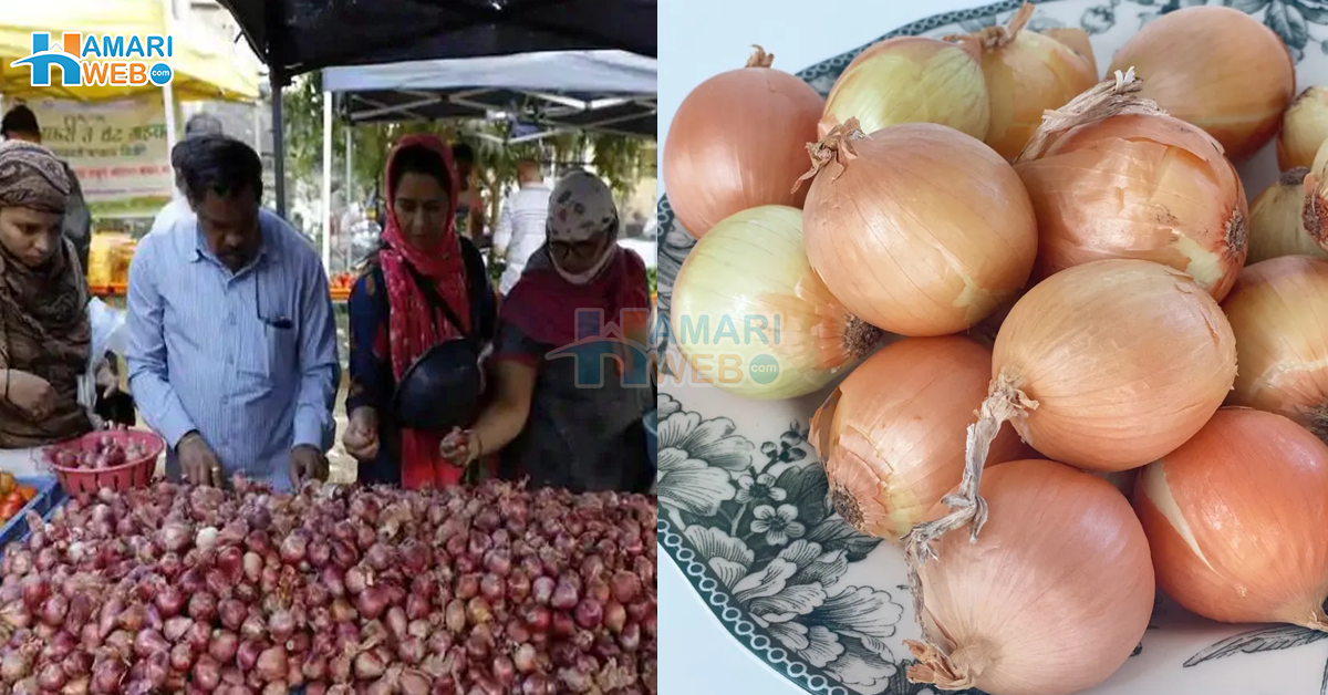 بغیر پیاز کے سالن نہیں بن سکتا؟ جانیں مہنگی پیاز کے وہ 3 متبادل، جو سالن سبزی بھی بنائے اور آپ کے پیسے بھی بچائے