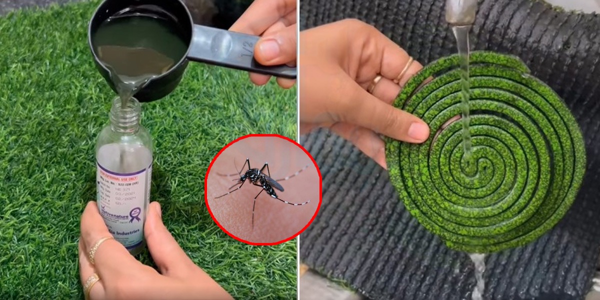 کوائل کو پانی میں دھونے سے کیا ہوتا ہے ؟ اگر آپ کو بھی رات بھر مچھر کاٹتے ہیں تو جانیں کچھ ایسی گھریلو ٹپس جو کسی کے ذہن میں نہیں آسکتی